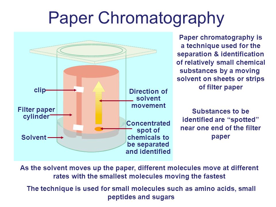 Chromotography case essay